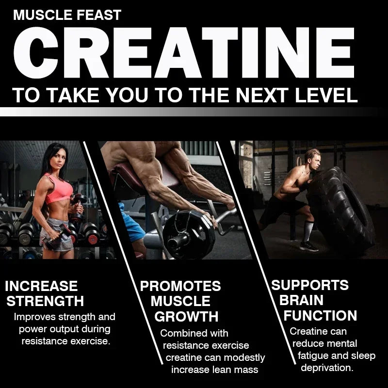 Creatine Monohydrate Capsules – Daily Training Format