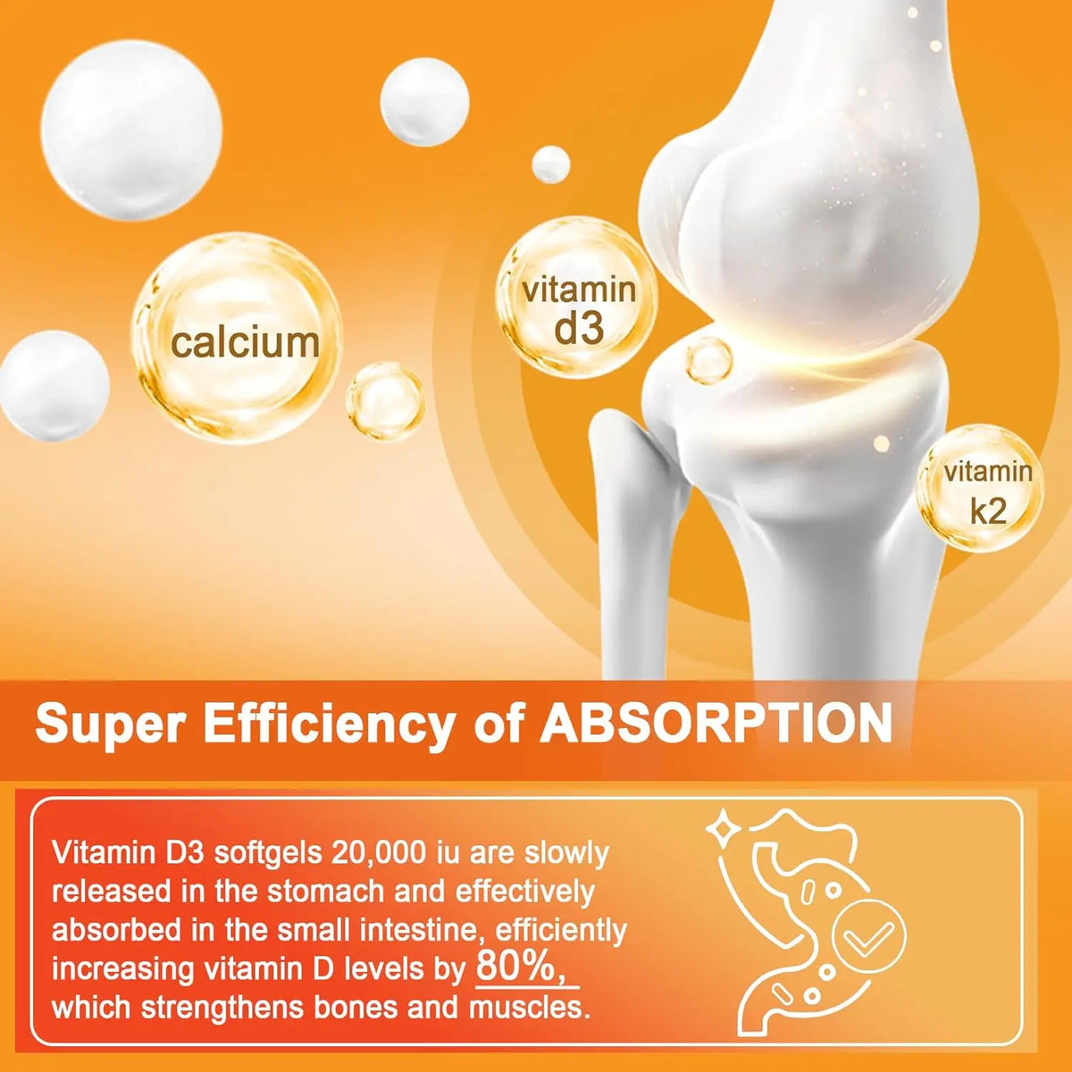 Vitamin D3 + K2 Capsules