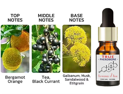 Men’s Fragrance Oil – 10 mL – product image 11