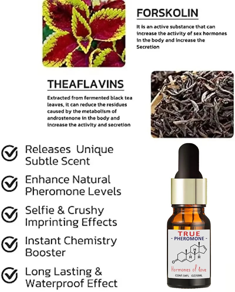 Men’s Fragrance Oil – 10 mL – product image 4
