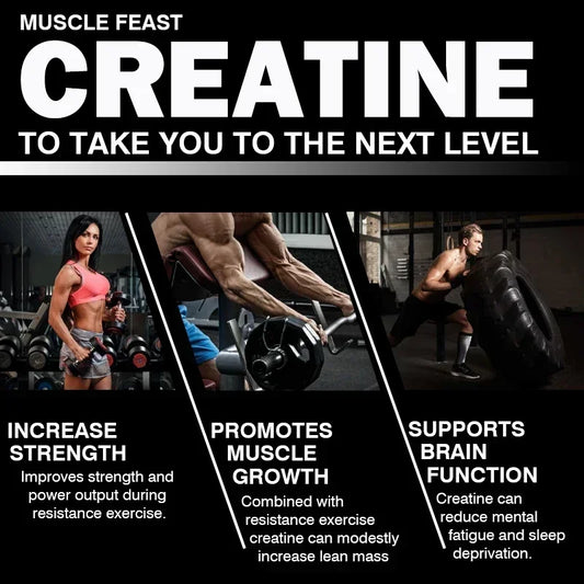 Creatine Monohydrate Capsules – Daily Training Format